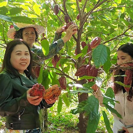 La Cacaoyere Villa แซ็ง-บินัวต์ ภายนอก รูปภาพ