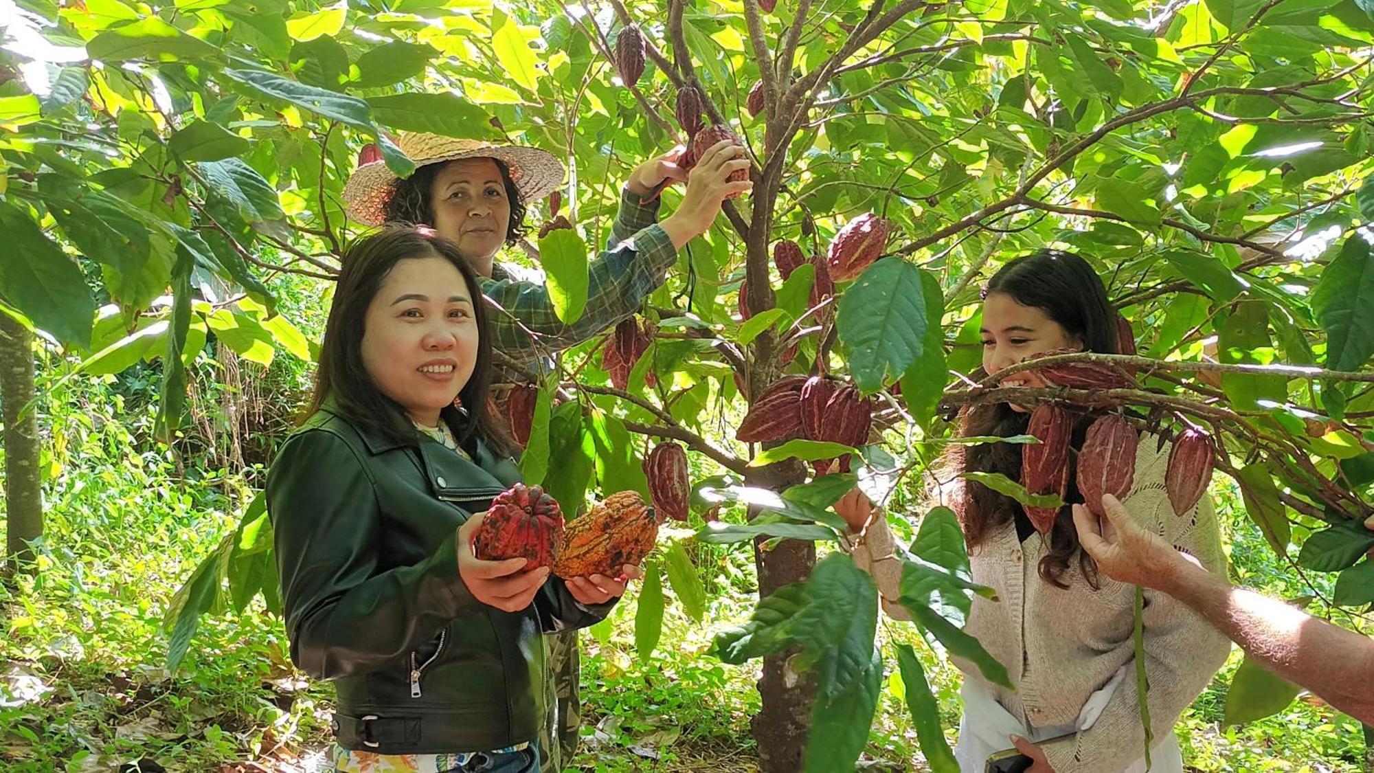 La Cacaoyere Villa แซ็ง-บินัวต์ ภายนอก รูปภาพ