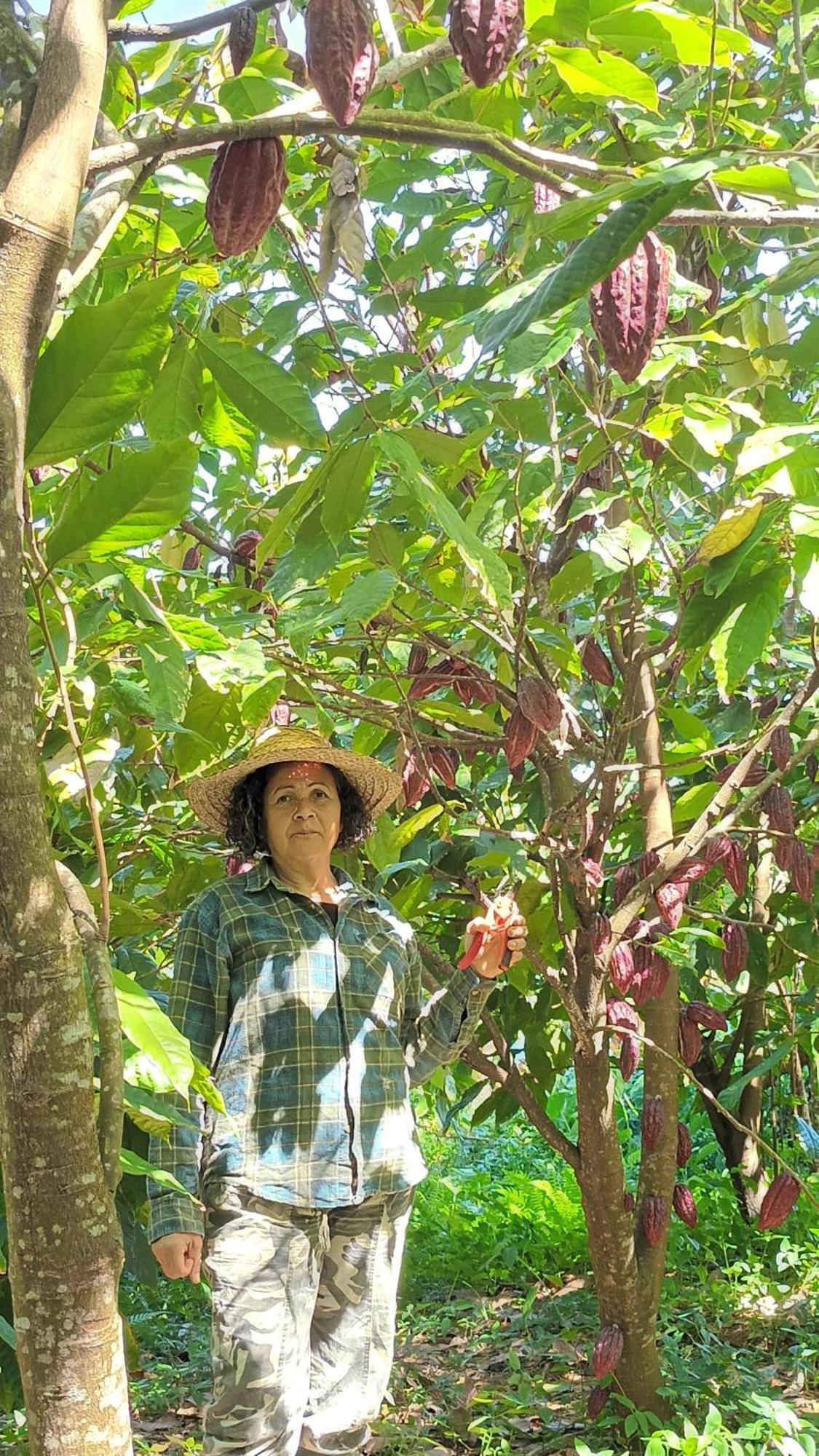 La Cacaoyere Villa แซ็ง-บินัวต์ ภายนอก รูปภาพ